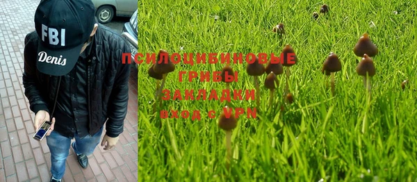 хмурый Балахна
